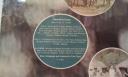 /image.axd?picture=/collection/1663/mini/Pink Floyd - Obscured by Clouds (3).jpg