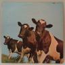 /image.axd?picture=/collection/1695/mini/Atom Heart Mother (0002).jpg