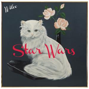 wilco star wars 1