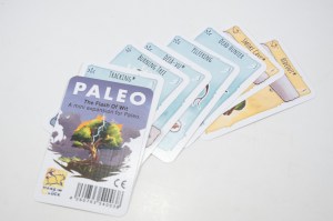 Paleo - The Flash of Wit (Les éclairs d'inspiration) (02)