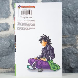 Dragon Ball Super 22 Les Maître et Disciple les Plus Puissants (02)
