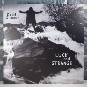 Luck And Strange (02)