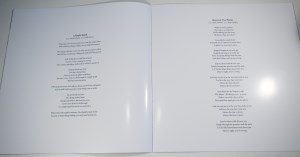 Luck And Strange (07)