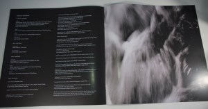 Luck And Strange (10)