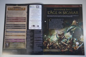 Warhammer Age Of Sigmar - Stormbringer 01 (03)