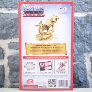 Masters of The Universe Battleground- He-Man with Battle Cat (02)