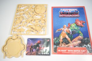Masters of The Universe Battleground- He-Man with Battle Cat (05)