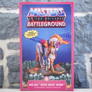 Masters of The Universe Battleground- She-Ra with Swift Wind (01)