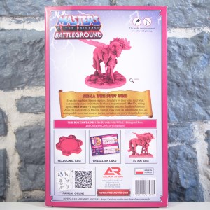 Masters of The Universe Battleground- She-Ra with Swift Wind (02)