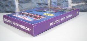 Masters of The Universe Battleground- Skeletor with Panthor (03)