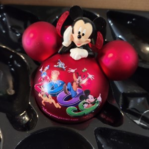 Boule de Noël Disneyland Paris 2009 (01)