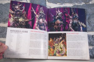 Warhammer - Visions 10 (Novembre 2014) (04)