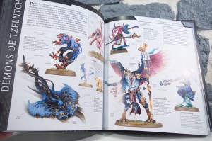Warhammer 40,000 Le Guide Ultime (10)