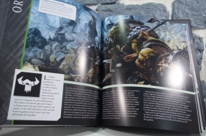 Warhammer 40,000 Le Guide Ultime (12)