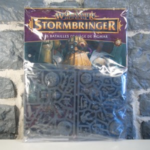 Warhammer Age Of Sigmar Stormbringer 56 (01)