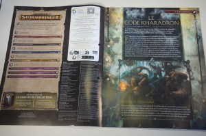 Warhammer Age Of Sigmar Stormbringer 56 (03)