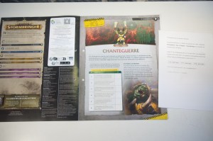 Warhammer Age Of Sigmar Stormbringer 75 (03)