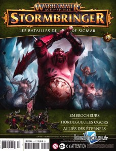 Warhammer Age Of Sigmar Stormbringer 14 (hachette 01)