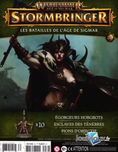 Warhammer Age Of Sigmar Stormbringer 30 (hachette 01)