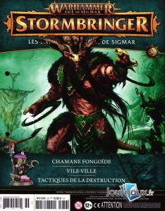 Warhammer Age Of Sigmar Stormbringer 36 (hachette 01)