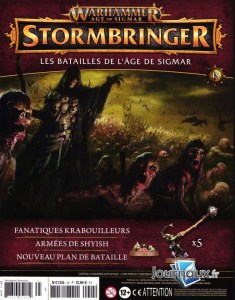 Warhammer Age Of Sigmar Stormbringer 45 (hachette 01)