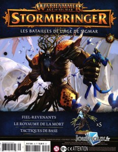 Warhammer Age Of Sigmar Stormbringer 49 (hachette 01)