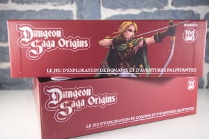 Dungeon Saga Origins (03)