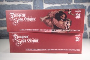 Dungeon Saga Origins (06)