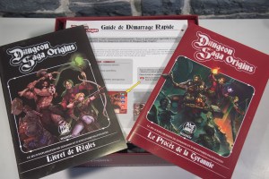 Dungeon Saga Origins (07)