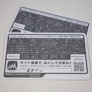 Bandai Namco Passports (02)