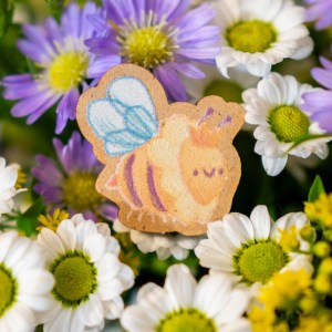 66 Fleurs de Printemps - Pin's (cover)