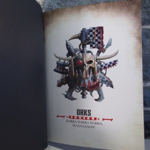 Warhammer 40,000 - Codex Orks (05)