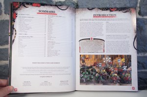 Warhammer 40,000 - Codex Orks (06)