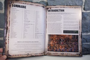 Warhammer 40,000 - Codex Orks (05)