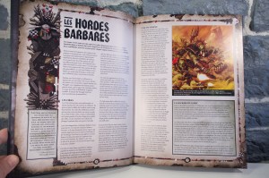 Warhammer 40,000 - Codex Orks (06)