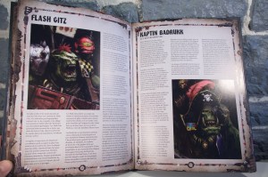 Warhammer 40,000 - Codex Orks (07)