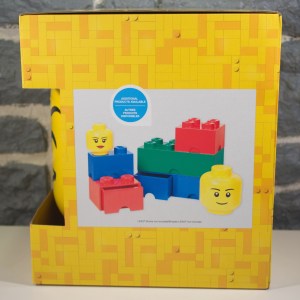 Grande Tête de Rangement (02)