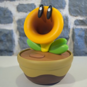 Fleur Cancan (05)