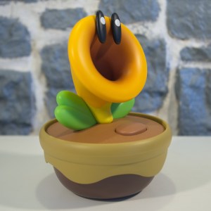 Fleur Cancan (06)