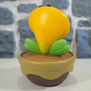 Fleur Cancan (07)