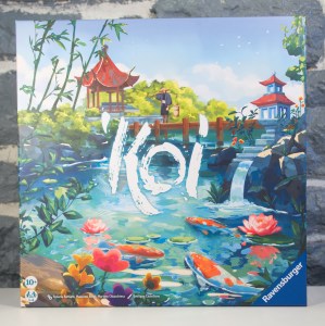 Koi (01)