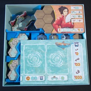 Koi (Insert 01)