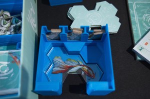 Koi (Insert 05)