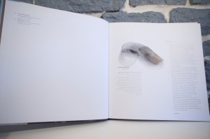 Mécanhumanimal (05)
