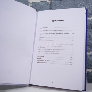 Le Phénomène Gundam. Le colosse de l'animation (04)