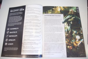Warhammer Alliance (14)