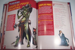 Blood Bowl - Édition Deuxième Saison (27)