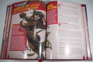 Blood Bowl - Édition Deuxième Saison (28)